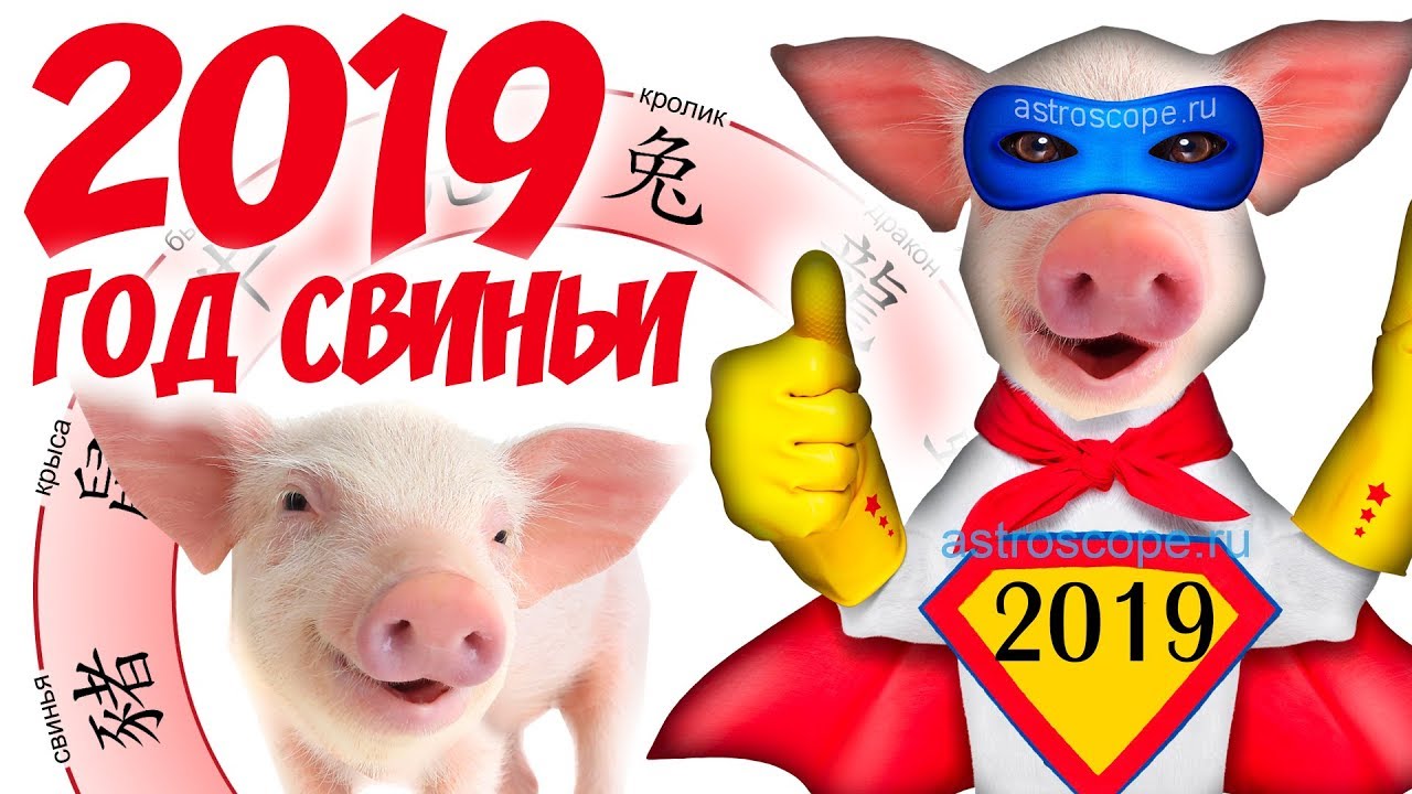 Гороскоп на 2019 год для знака Близнецы новейшие фото Гороскоп на 2019 год для знака Близнецы новейшие фото